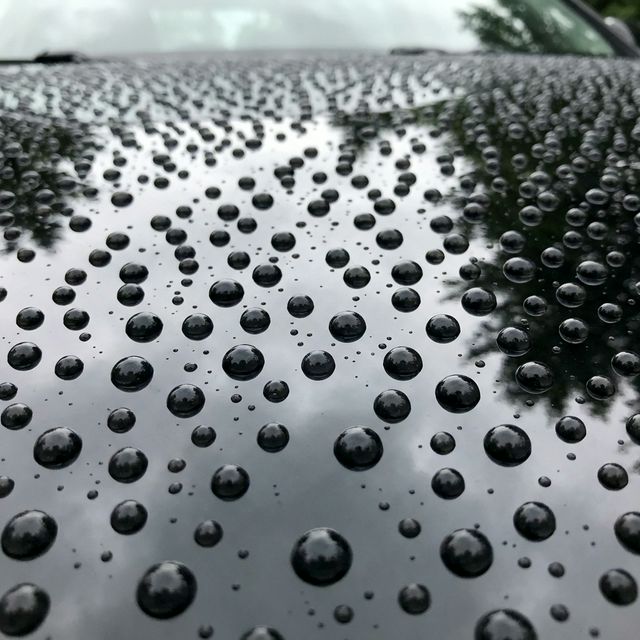 Water beads on protected automotive paint
